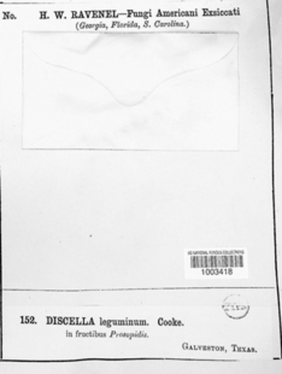 Discella leguminum image